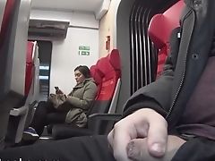 Flash Dick In Bus For Different Women